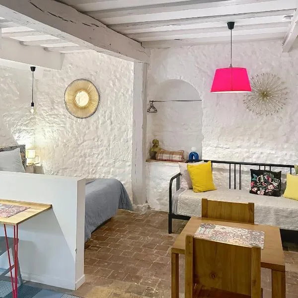 Appartement spacieux avec une vue sur Tours ( 38m²) -Gite de Bellevue, Hotel in Tours