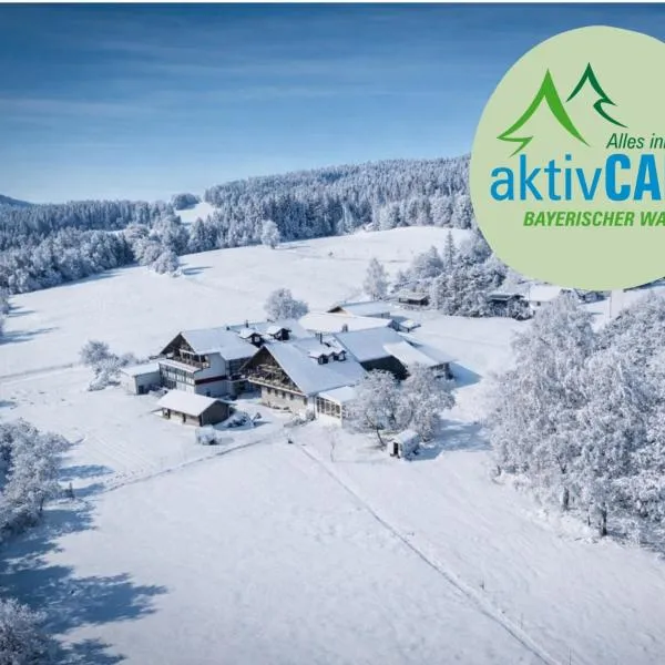 Hotel Hirschenstein, hotel em Achslach