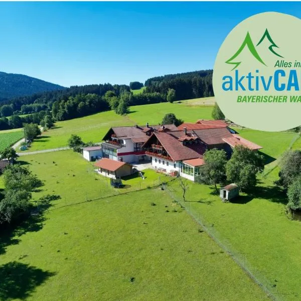 Hotel Hirschenstein, hotel a Achslach