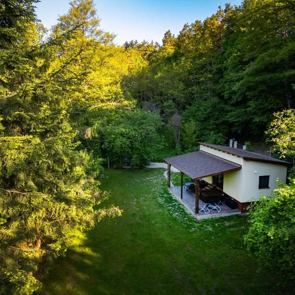 Vízfő Kabin, hotel v mestu Sály