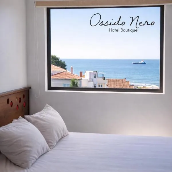 Hotel Boutique Ossido Nero, hotel din Viña del Mar