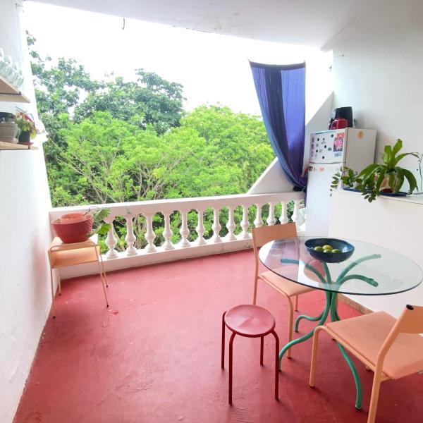 Casa de Hóspede - Principal Rua Carnaval Olinda - Foto 5