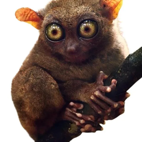 New Family Homestay, hotel v destinaci Rinondoran