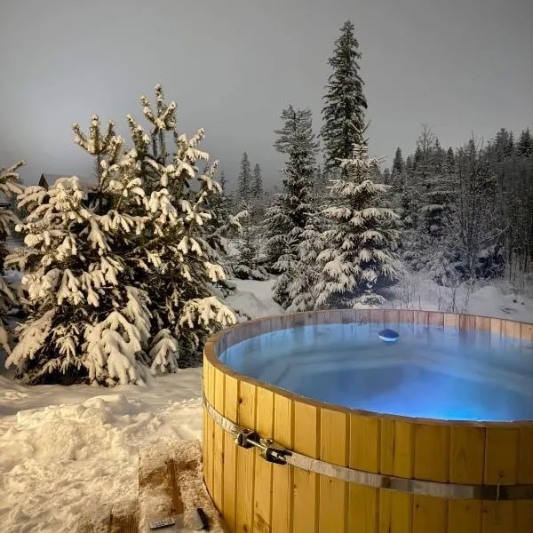 Góralska Chata przy Dolinie Chochołowskiej - gorąca balia, hotel en Witów