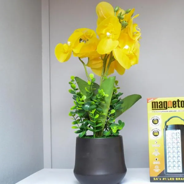 The prestige studio at Bains lodge, ξενοδοχείο στο Μπλουμφοντέιν