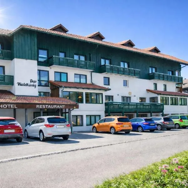 Hotel Das Waldkönig, hotel sa Bayerisch Eisenstein