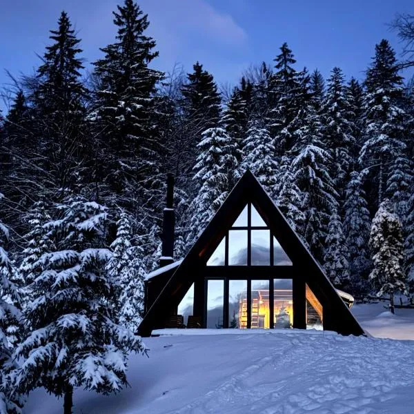 Vrleti Tare, hotel em Bajina Bašta