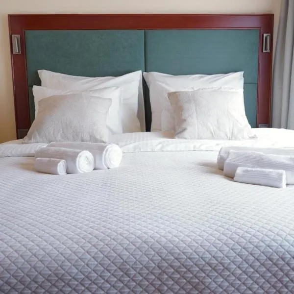 Willa RIVA、ヴィスワのホテル