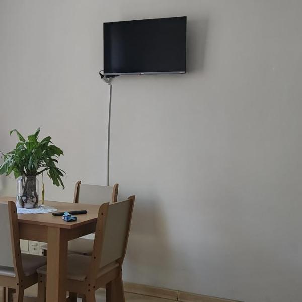 Bem te vi - Foto 5