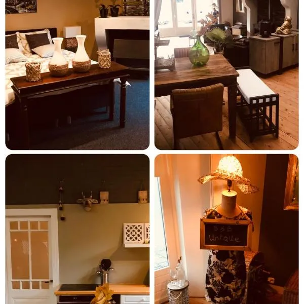 Pakhuis Bed and Breakfast Unique, hotel en Enschede