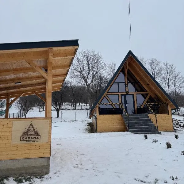 Cabana Bucegi View A-Frame Bran, hotel em Predeluţ