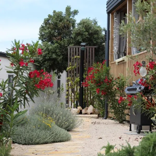 Hollers Holiday Homes Haus Oli, Hotel in Drage