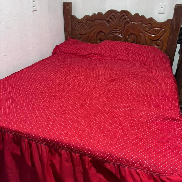 Casa na Floresta - Foto 5