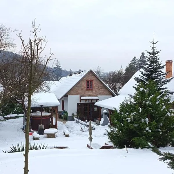 Padláskincsek Vendégház، فندق في ناجيبورزسوني