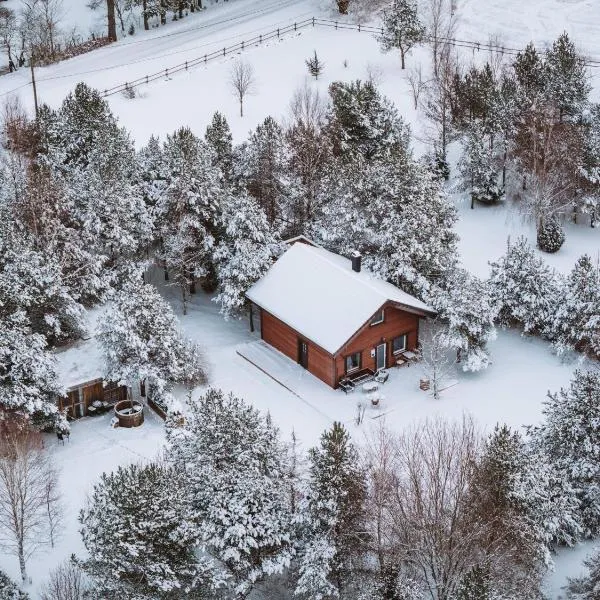 Männisalu cozy houses with hot tube and many extras, Hotel in Mägari