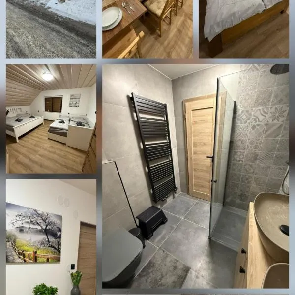 Apartmany Zvole, отель в городе Zvole