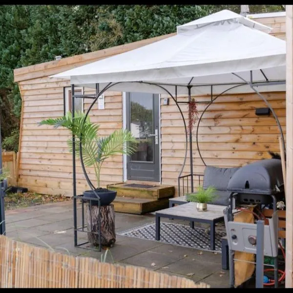 Chalet Timber -close to the woods, hotel i Anloo