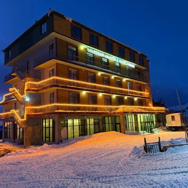Hotel Arsiani – hotel w mieście Shuasopʼeli