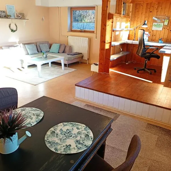 Großzügige Souterrain Ferienwohnung im Grünen, Hotel in Hausen