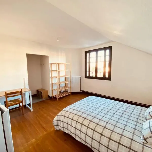 Chambre privative dans maison partagée avec d'autres voyageurs, hotel in Tarbes