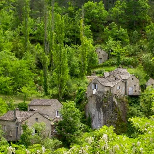 Refuge de La Sablière, hotel in Meyrueis