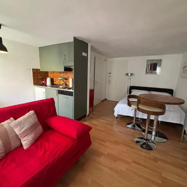 Cooles Apartment an der Kathedrale, hótel í Fribourg