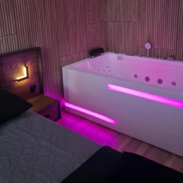 Mostique Spa Apartament with Jacuzzi，格但斯克的飯店