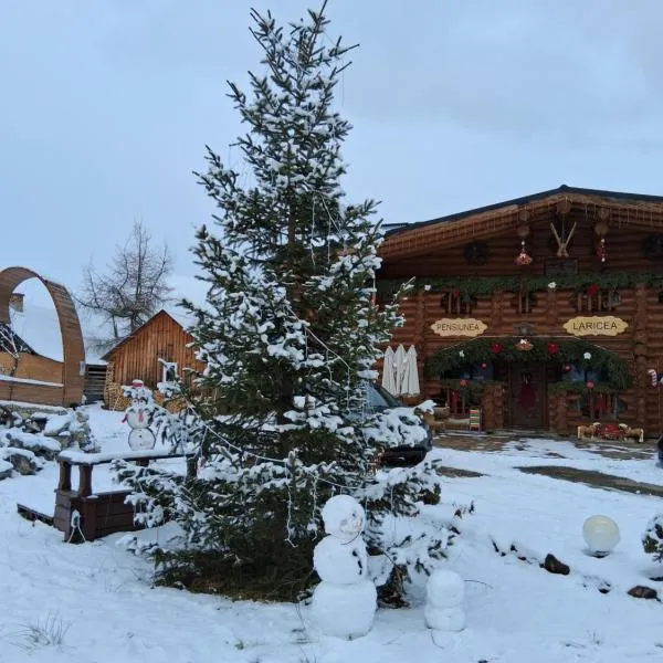 Pensiunea Laricea, hotel en Vatra Dornei