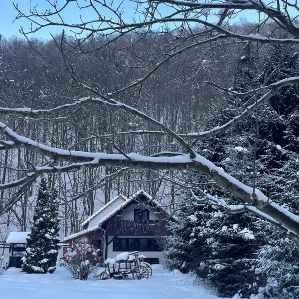 Cottage by the river Valea Draganului, khách sạn ở Poeni