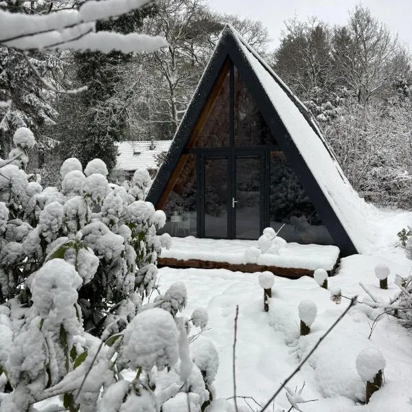 A-huis in het bos van Drenthe, hotel en Norg