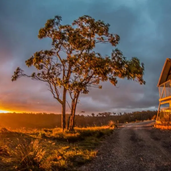 Blue Monkey Mountains، فندق في Newnes Junction