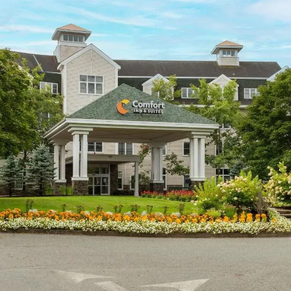 Comfort Inn & Suites Near Burke Mountain, hotel in Saint Johnsbury