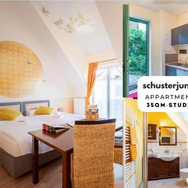 SCHUSTERjunge Aparthotel, hotel in Sasbachwalden