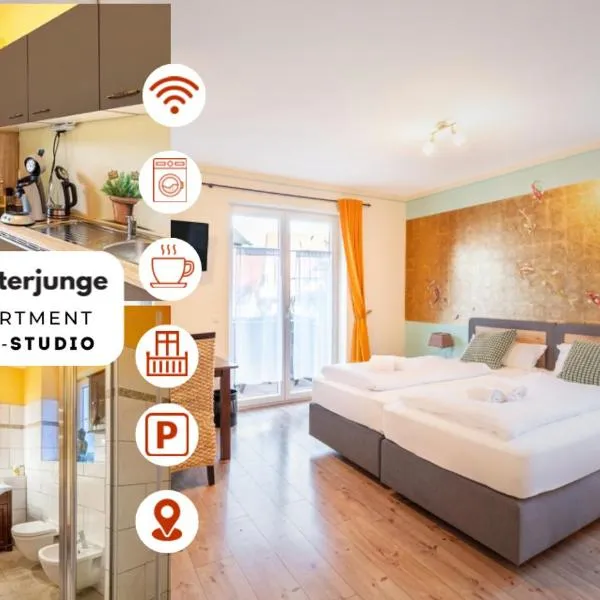 SCHUSTERjunge Aparthotel I Zentral I Studio Apartments I Küche & Bad I Parkplatz, hotel in Sasbachwalden