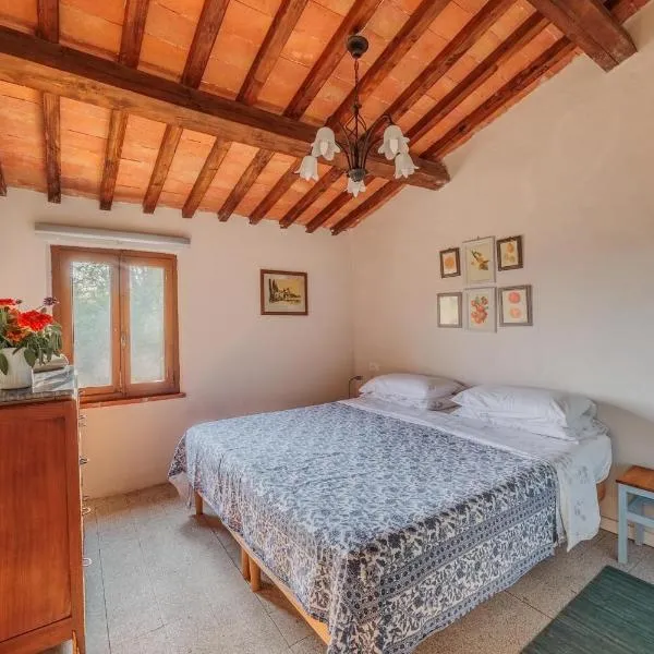 Ghizzano में, होटल Appartamento con piscina e giardino - Olivo