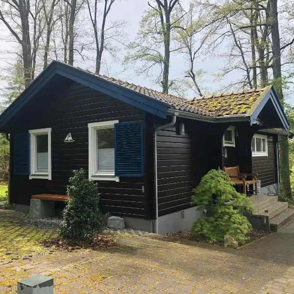 Waldhaus Möhnesee, hotel in Möhnesee