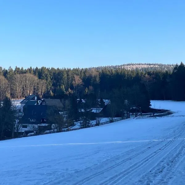 Berghaus am Katzenstein urgemütliches Wohnen im Wald, ξενοδοχείο σε Pobershau