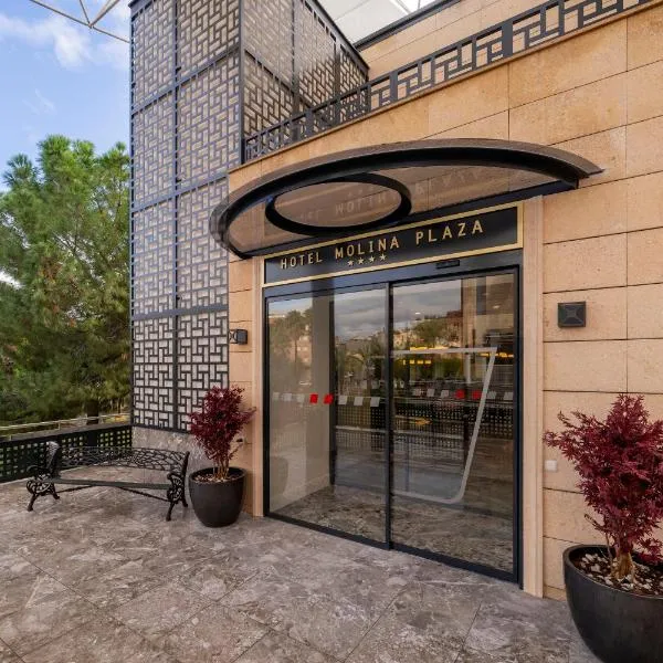 몰린다 데 세구라에 위치한 호텔 ASA Molina Plaza
