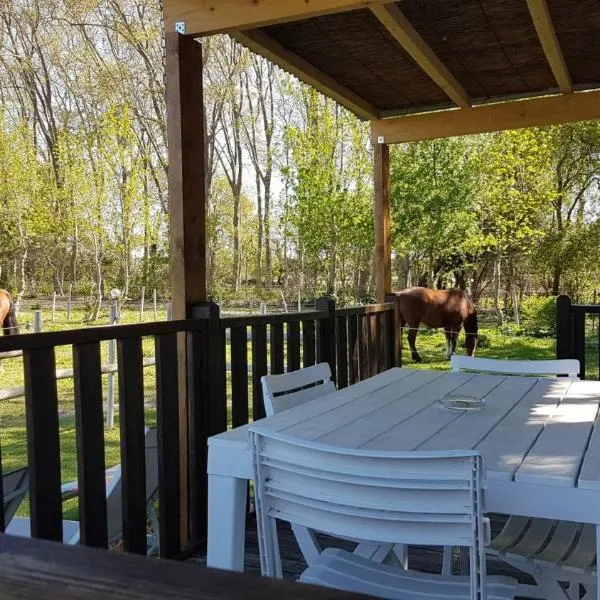 Mon Gite En Camargue: Le Cailar şehrinde bir otel