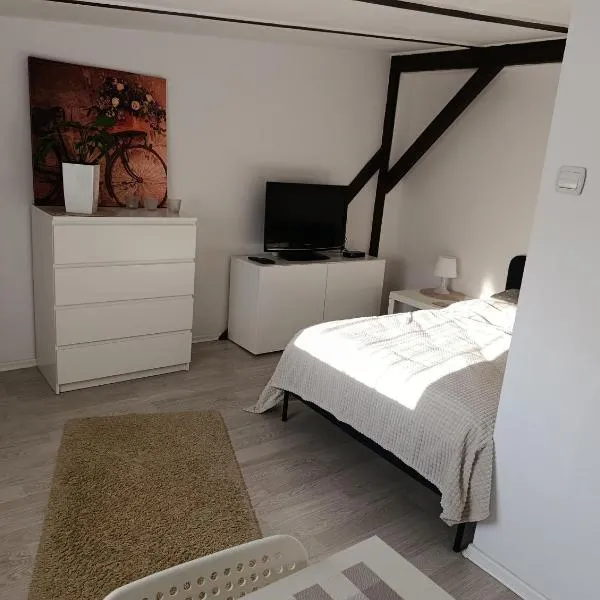 Apartament Mariacka, hotel di Bydgoszcz