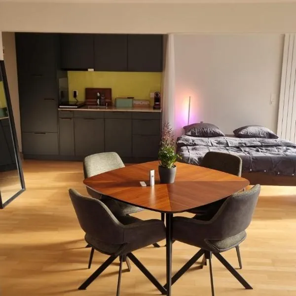 Studio Stadtpark - central, calm, classy, chic，奧爾騰的飯店