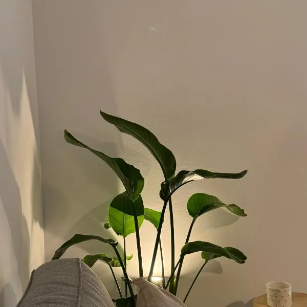 Achinoeè, hotel u gradu Halkida