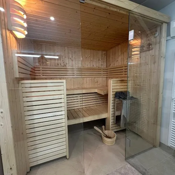 Chambre-Studio et SAUNA indépendants, hotel v Annecy