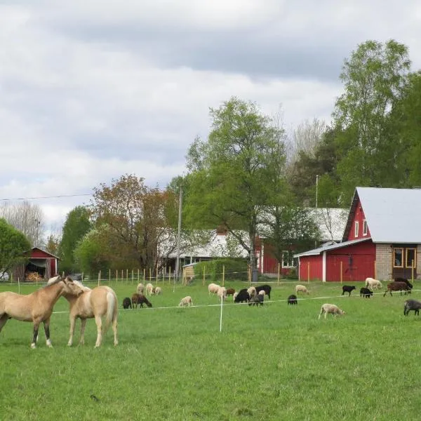 Rantakorpi Farm, hotell i Niemisjärvi