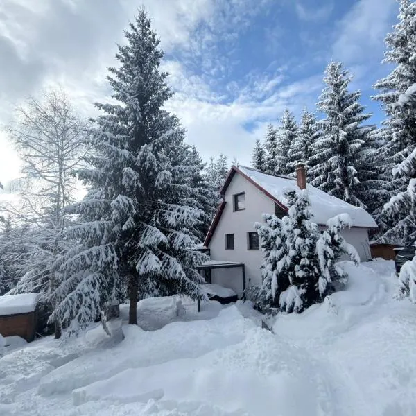 Mountain Chalet - Cabana la Muntele Baisorii, готель у місті Muntele Cacovei