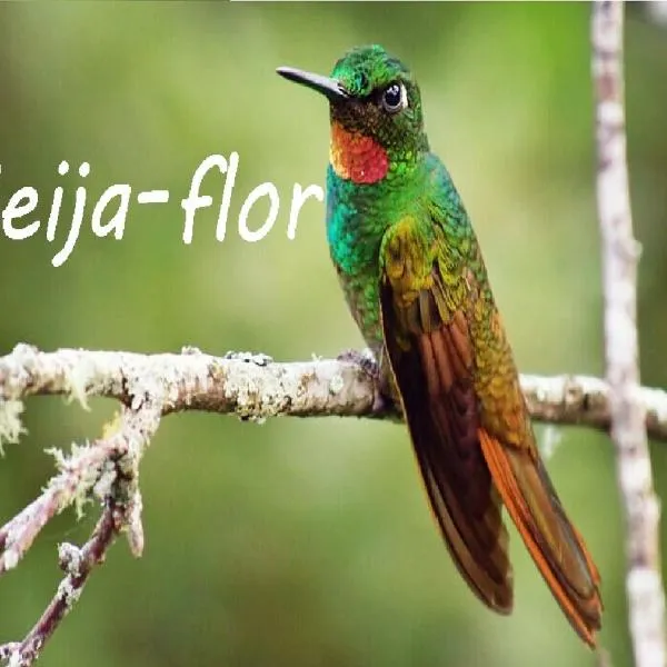 Holo Pousada Vale Encantado, hotel in Rancho Queimado