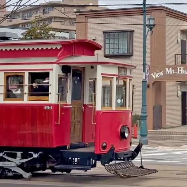 Condominium View Mt Hakodate, отель в городе Хакодате