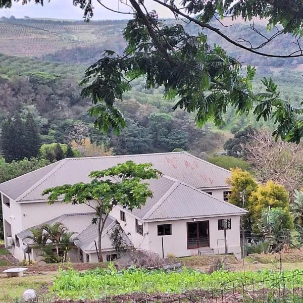 Ibokwe homested, hotel 