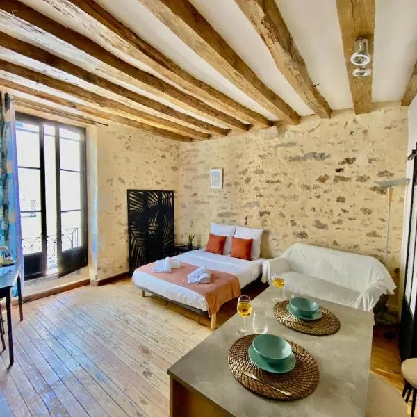 Le Cosy-Chic - Vieux Mans - Centre & Cathédrale, Hotel in Le Mans