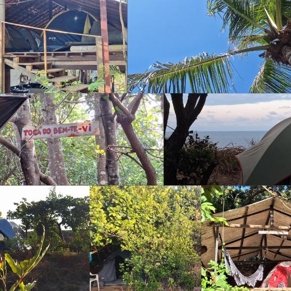 EcoCamping da Wandinha - Foto 5